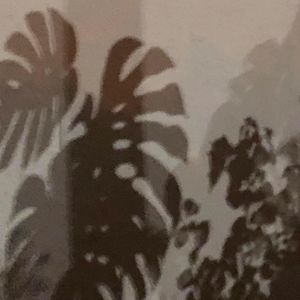 Meet your Posher, Jadienne